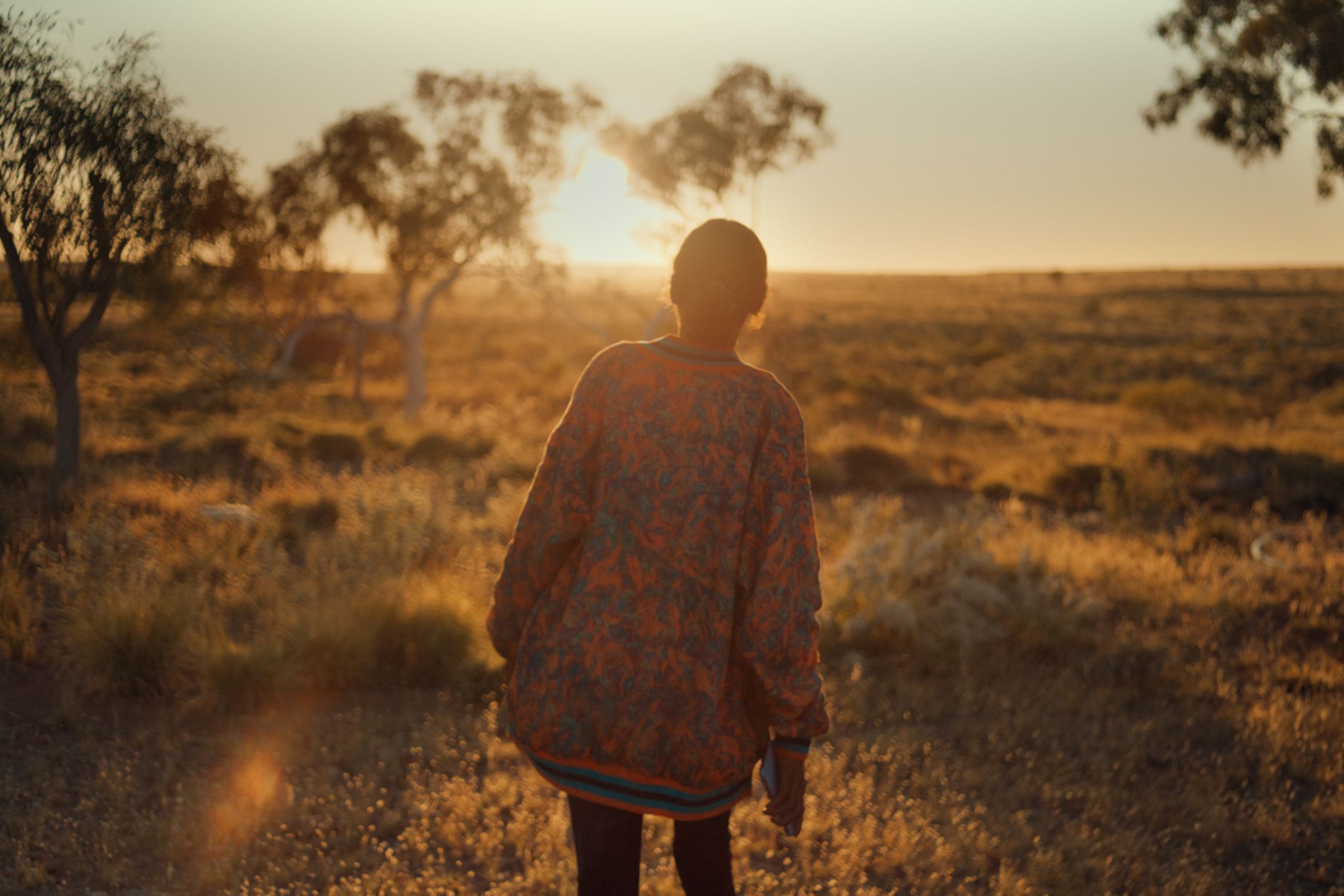 A person with their back turned, wearing a patterned jacket, walking in an open field at sunset. The warm sunlight filters through scattered trees, casting a golden glow over the dry grass and landscape.